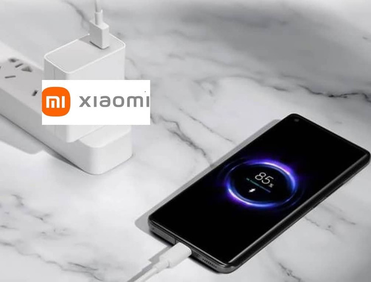 شارژر شیائومی Adapter Xiaomi 33W دو پین بدون کابل اصل